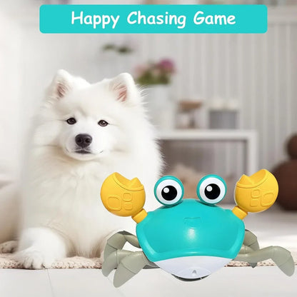 Crawling Crab™ - Interactive Toy for Dogs