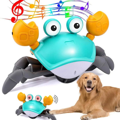 Crawling Crab™ - Interactive Toy for Dogs