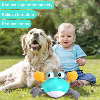 Crawling Crab™ - Interactive Toy for Dogs
