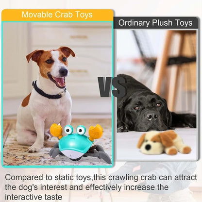Crawling Crab™ - Interactive Toy for Dogs