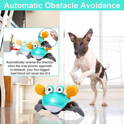 Crawling Crab™ - Interactive Toy for Dogs