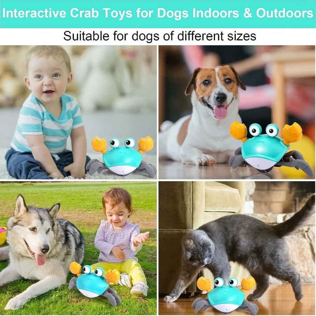 Crawling Crab™ - Interactive Toy for Dogs