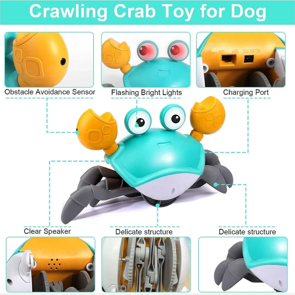 Crawling Crab™ - Interactive Toy for Dogs