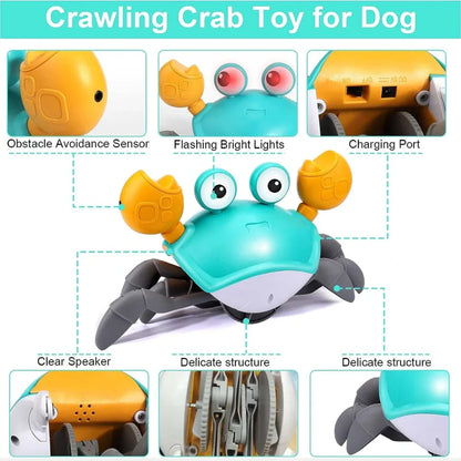Crawling Crab™ - Interactive Toy for Dogs