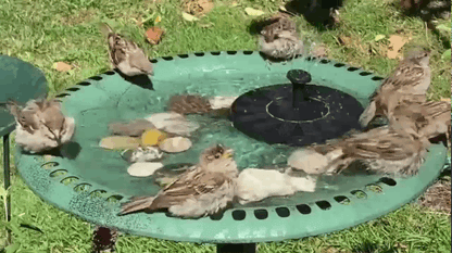 Solar Serenity Fountain